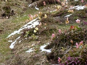 Dalla Pianca di S. Giovanni Bianco salita al CANCERVO dal CANALONE e discesa dal CANALINO DEI SASSI domenica 17 aprile 2011 - FOTOGALLERY